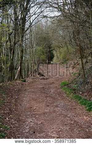 Hiking Trail In Spring In The Eifel, Germany.