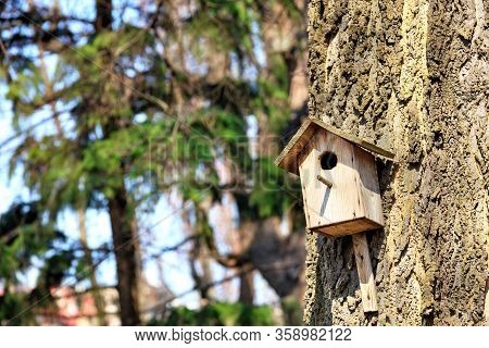 A Wooden Old Birdhouse Is Attached To The Tree By Nails In The Park Against The Background Of A Spri