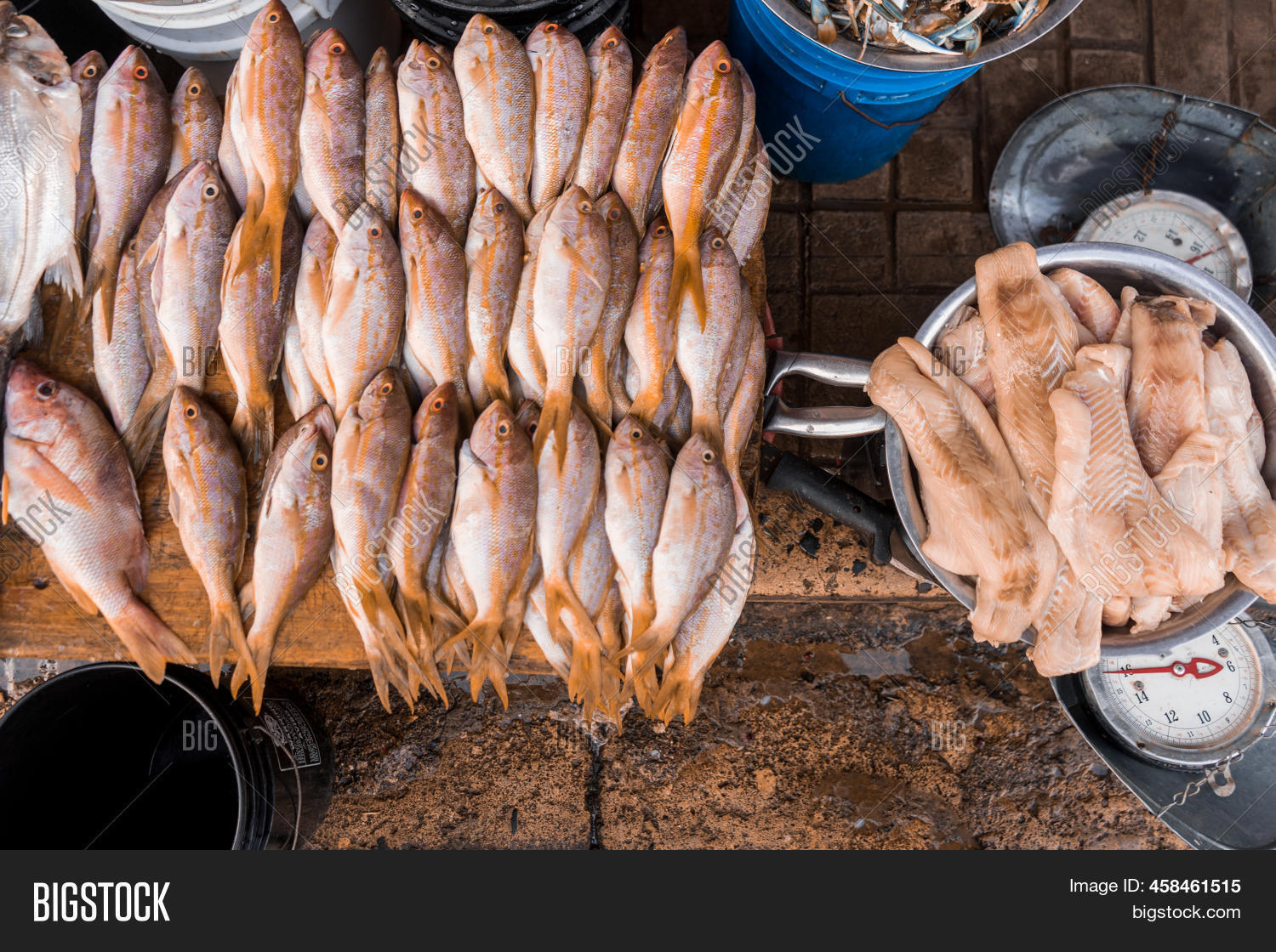 Top View Fresh Fish Image & Photo (Free Trial) Bigstock