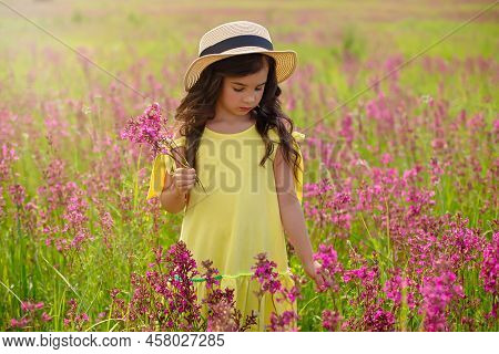 Romantic Beautiful Little Girl Walks In A Flowering Field, Holds A Bouquet Of Burgundy Viscaria Flow