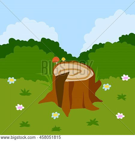 Stump In Forest Meadow. Green Field With Grass. Background For Child Drawing. Summer Nature. Funny S