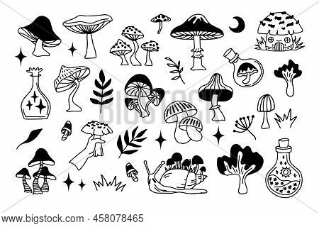 Mystical Mushrooms Isolated Outline Clipart Set, Magic Line Celestial Mushroom, Moon Stars, Witchy E