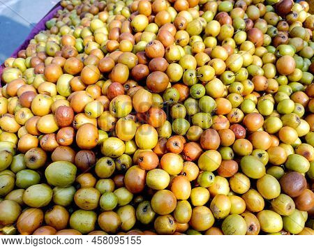 A Ziziphus Mauritiana, Also Known As Ber, Chinee Apple, Jujube, Indian Plum And Masau Is A Tropical 