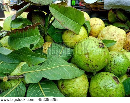 A Fresh Juicy And Healthy Sweet Guava Fruit With Leaves In The Market