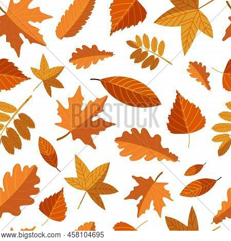 Vector Pattern With Yellow Autumn Leaves Mix