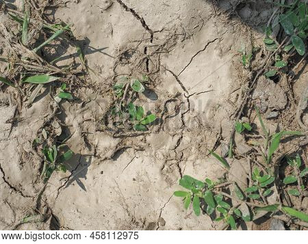 Dry Earth Climate Change