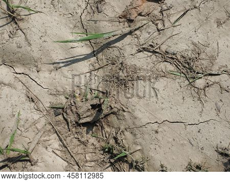 Dry Earth Climate Change