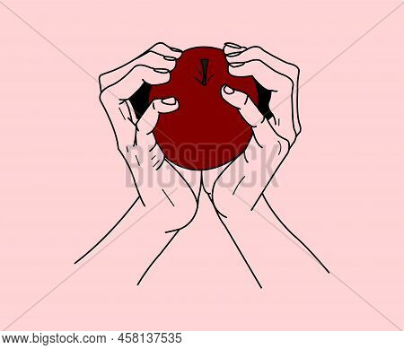Red Apple In Hands. Beautiful Vector Drawing. Lines.
