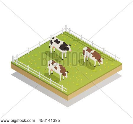 Dairy Production Milk Factory Isometric Composition With Images Of Cows Depasture On Grass In Farm Y