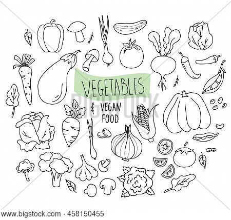 Big Set Vector Vegetables, Root Vegetables And Vegetable Food In Linear Hand Drawn Doodle Style. Mus