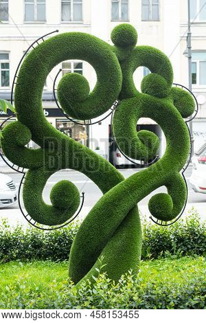 Green Ornamental Bushes Of Oclorful Shape In The Garden.