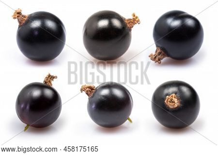 Black Currant Isolate. Currant Black On White Background. Top View. Side View. Set With Full Depth O