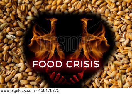 Food Crisis. Global And European Grain And Wheat Crisis, Ukraine. Exporters Of Grain. Devil With Fla