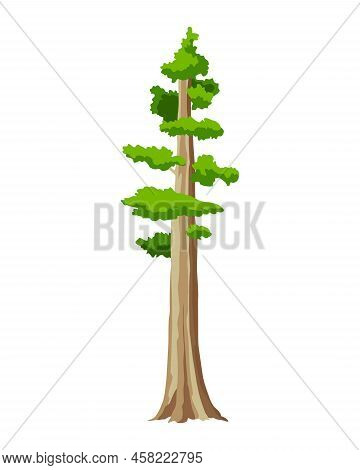 Tree. Eco Concept Of Nature Plant. Vector Flat Green Tall Pine Tree Icon Isolated On White Backgroun