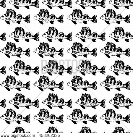 Seamless Vector Black Pattern Of Ruff Fish .