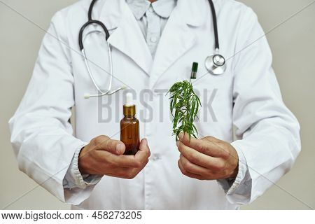 Partial Image Of Male Doctor Holding Marijuana Leaf And Essential Cannabinoid Oil Bottle. Man Wearin