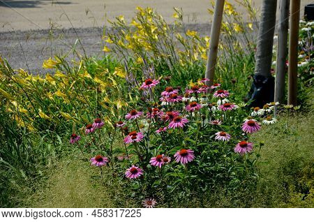 Flowerbed On The Promenade In The Park With Ornamental Perennials. The Edge Is A Curved Curb Of Gran