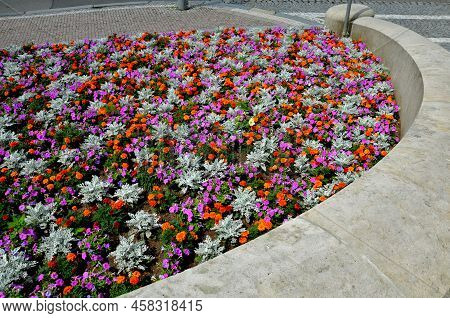 Crazy Annual Bed With A Pink-orange Combination Of Flowers. Large Retaining Walls Of Rounded Sandsto