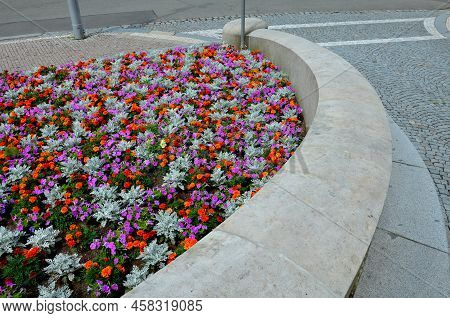 Crazy Annual Bed With A Pink-orange Combination Of Flowers. Large Retaining Walls Of Rounded Sandsto