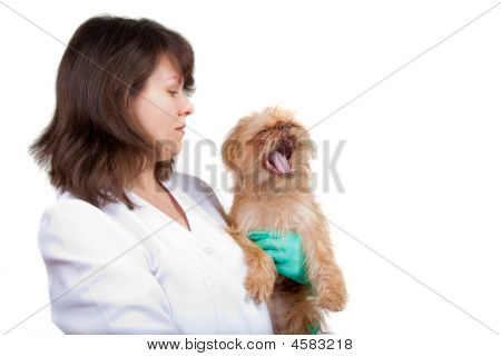 I en Vet klinik