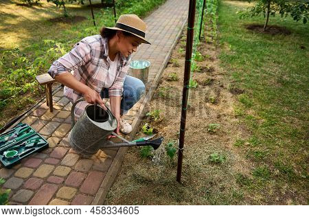 Serene Gardener Using Watering Can, Waters Planted Seedlings In A Flowerbed. Love And Care Nature. E