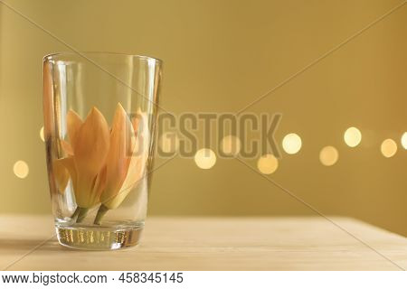 Son Champa Also Known As Golden Champak, Champa, Son Chafa Kept In Glass For Its Fragrance In Home. 