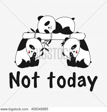 Image Of Three Funny Pandas, One Of Them Is Sleeping