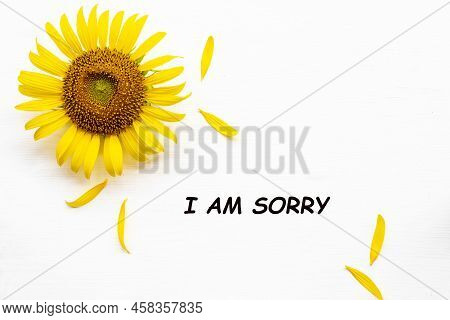 I Am Sorry Message Card With Yellow Flowers Sunflowers Arrangement Flat Lay Postcard Hearts Style On