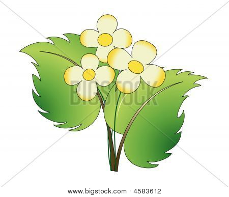 2 Blätter mit 3 Blumen