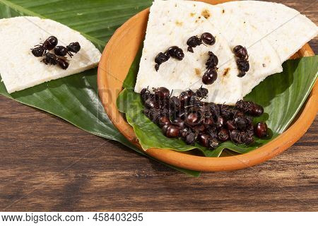 Ants Culonas Typical Gastronomy Of Santander Colombia; Photo On Wood Background