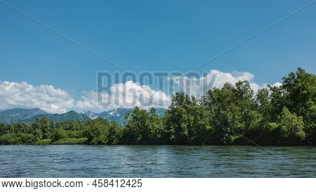 Lush Thickets Of Green Trees Grow On The Bank Of The Blue River. A Picturesque Mountain Range Agains