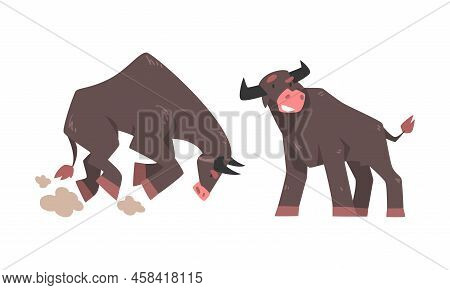 Big Furious Buffalo Set. Bull Farm Animals Cartoon Vector Illustration