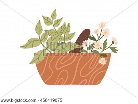 Healing Herbs In Mortar With Pestle. Herbal And Floral Plants In Wood Bowl For Grinding. Organic Nat