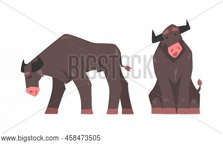 Big Bull Farm Animal Sitting And Grazing Set Cartoon Vector Illustration