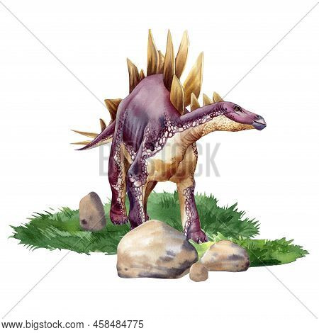 Watercolor Dinosaur Isolated On White Background. Stegosaurus Illustration. Dinosaur On Landscape