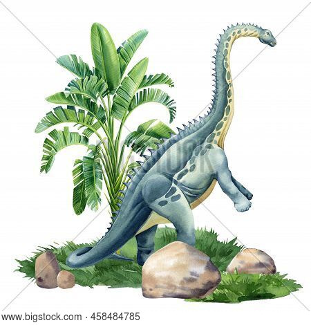 Brontosaurus. Watercolor Dinosaur Isolated On White Background. Dinosaur On Landscape With Nature Pa