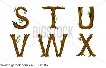 Forest Woody Alphabet. S, T, U, V, W, X Letters Made Of Bent Tree Branches Vector Illustration