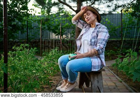Tired Woman Gardener, Horticulturist Feeling Fatigue After Tying Flowering Tomato Seedling In Organi