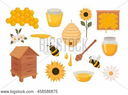 Apiary. Wax Comb Bee Home Flowers Apiary Tools And Healthy Eco Products. Vector Cartoon Set