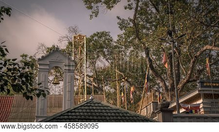 Secred Jaya Sri Maha Bhodi. Beautiful Evening Landscape Photograph.