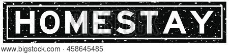Grunge Black Homestay Word Square Rubber Seal Stamp On White Background
