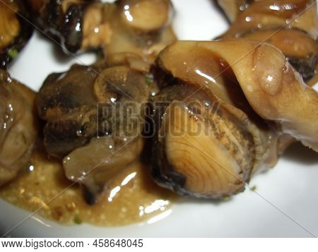 Meat Of Sea Rapans In Sauce