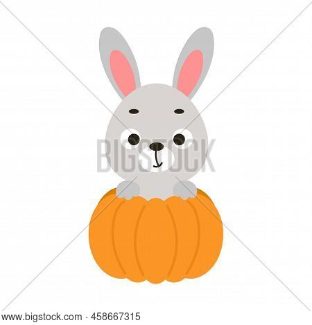 Cute Little Rabbit Sitting In A Pumpkin. Cartoon Animal Character For Kids T-shirts, Nursery Decorat