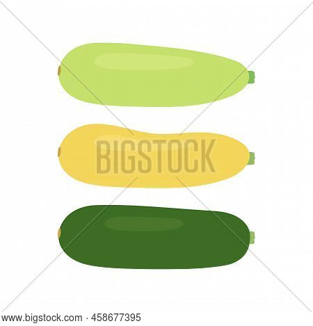 Zucchini Food Set, Different Squash. Courgette Whole Green, Yellow And Zucchini. Crop Edible Plant V