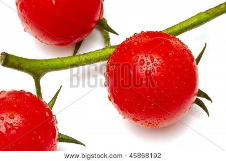 Pomodori ciliegia maturi su sfondo bianco