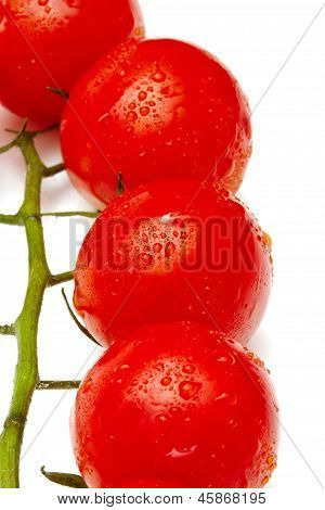 Pomodori ciliegia maturi su sfondo bianco