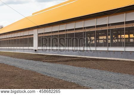 Side Curtains Roller Blinds For The Possibility Of Airing The Room From Ammonia On A Modern Dairy Fa