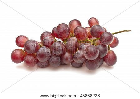 Grappolo d'uva rossa su sfondo bianco