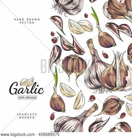Vertical Seamless Border With Hand Drawn Colorful Garlic Cloves And Slices Sketch Stye