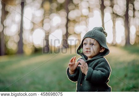 Portrait Of Cute Little Boy Wearing Knitted Hoodie In Nautre, Autumn Concept.
